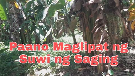kahulugan ng suwi